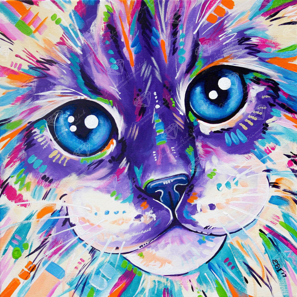 Abstract Cat T8