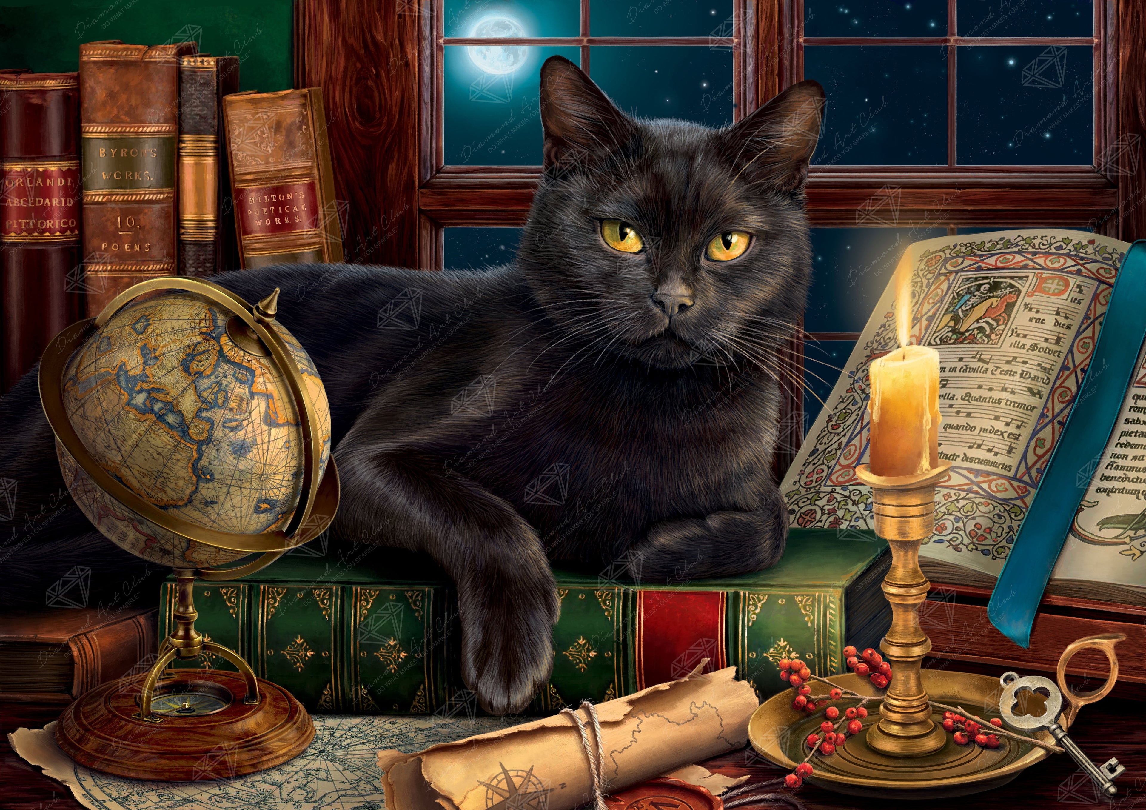 Black Cat by Candlelight