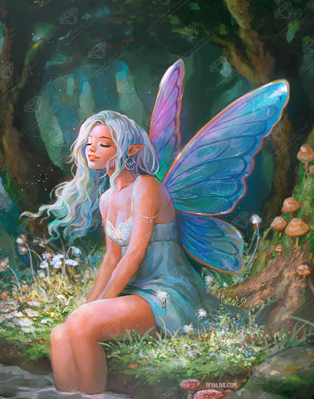 Fairy Lights A5