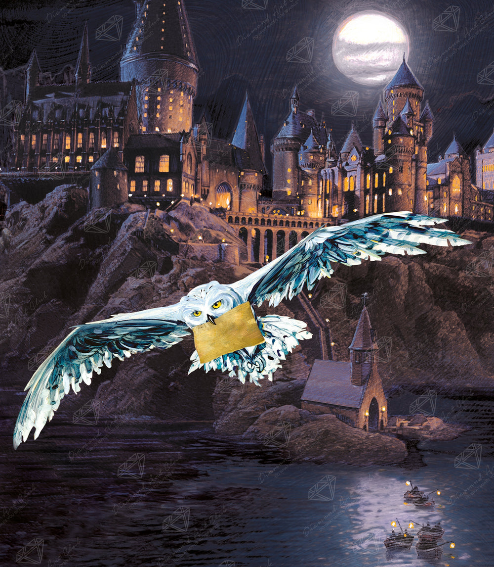 Hogwarts™ and Hedwig™ C1