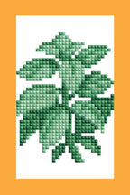 Mini Dazzles™ - Herbs & Medicinal Plants