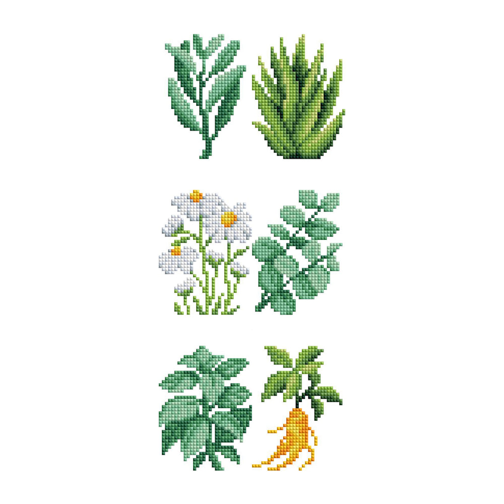 Mini Dazzles™ - Herbs & Medicinal Plants R2