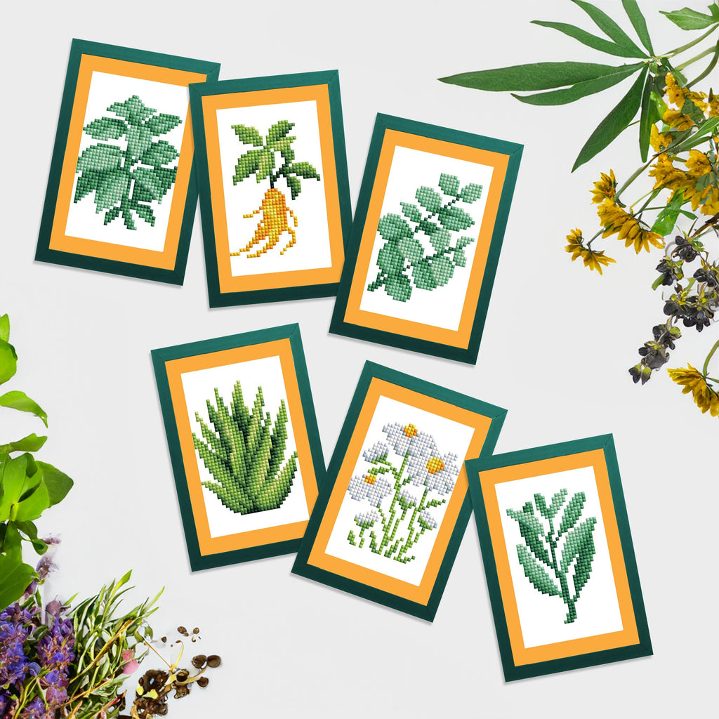 Mini Dazzles™ - Herbs & Medicinal Plants