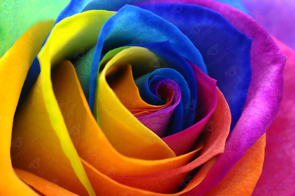 Rainbow Flower Petals U5