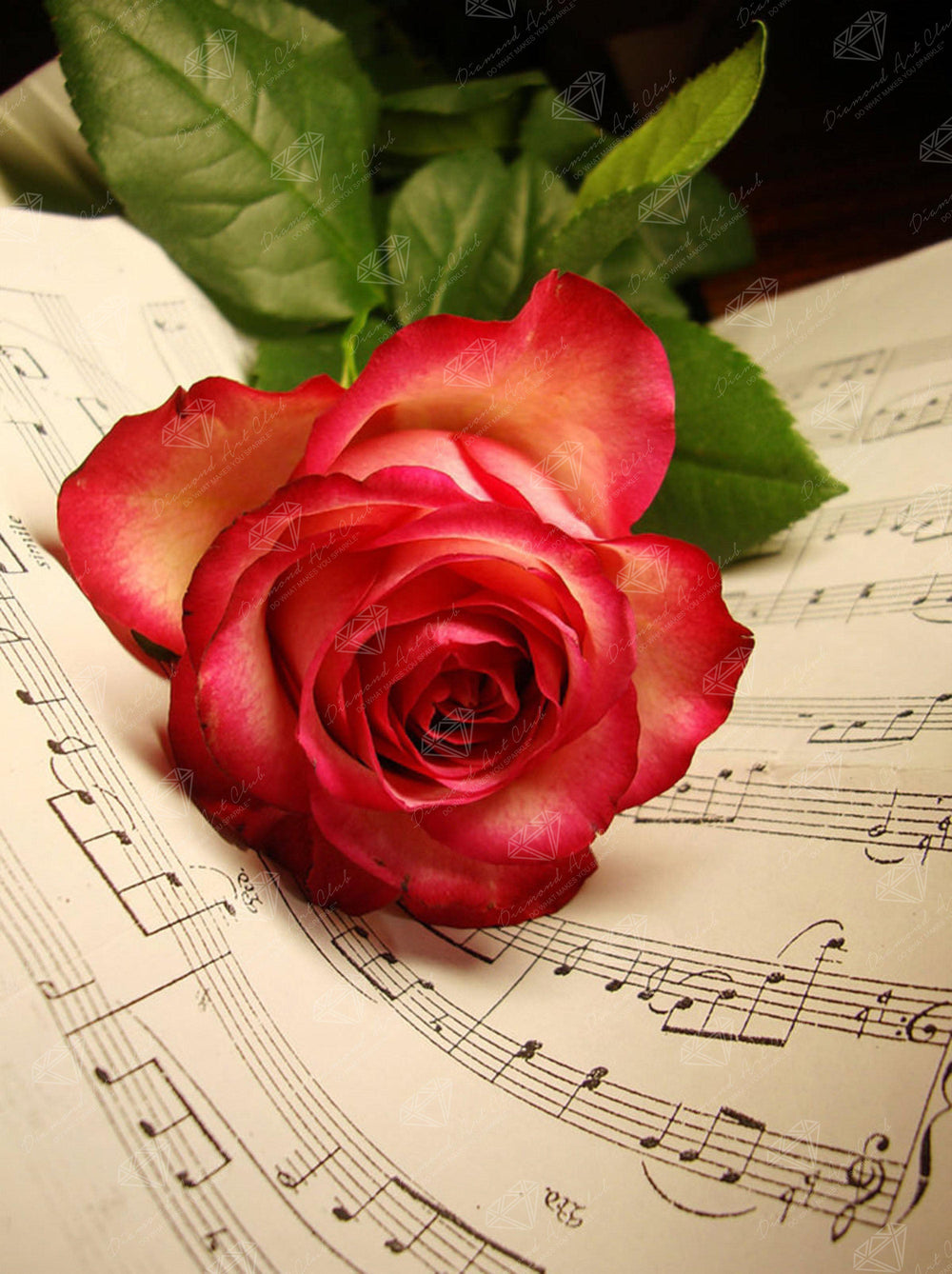 Rose Music Sheet P9