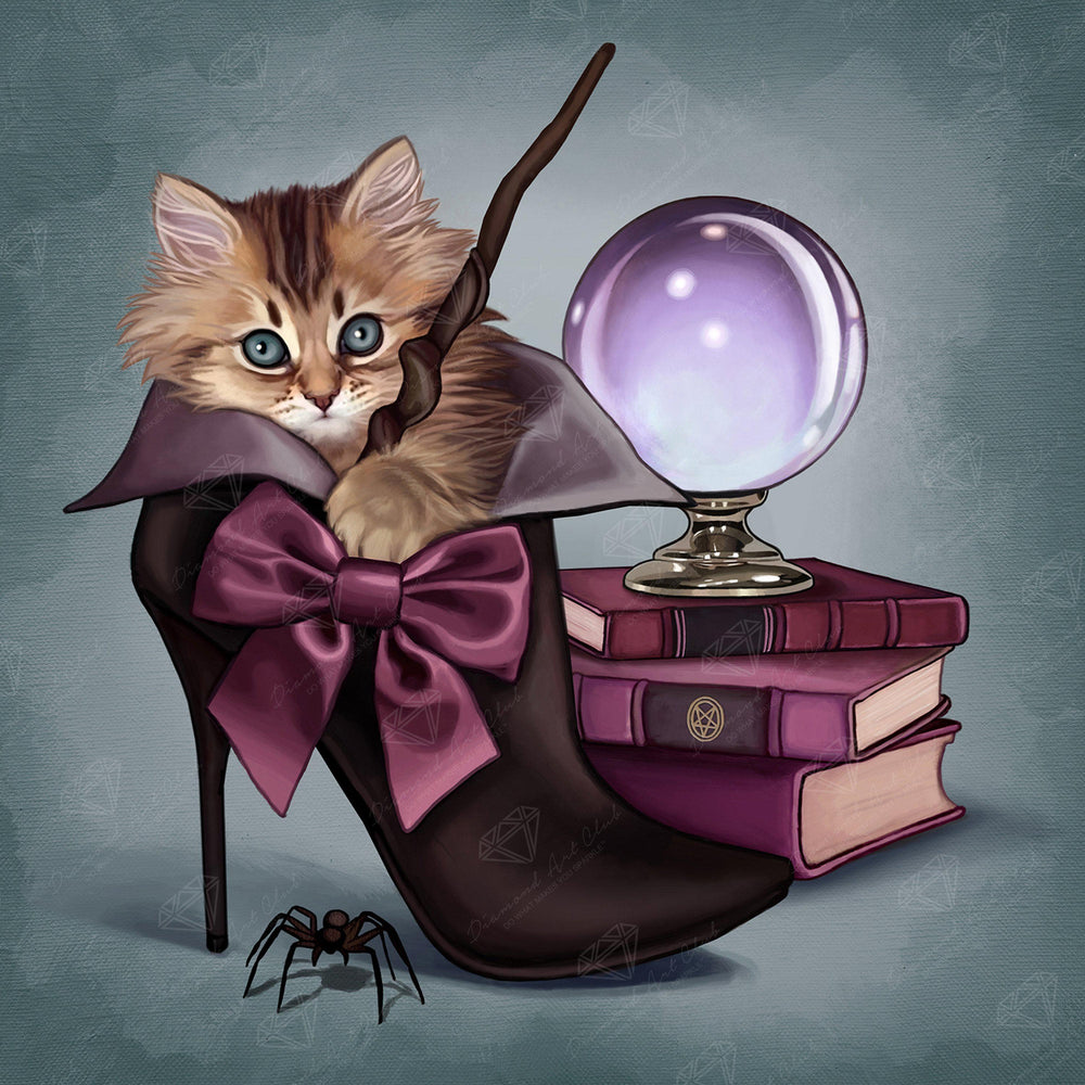 Wizard Kitten U9