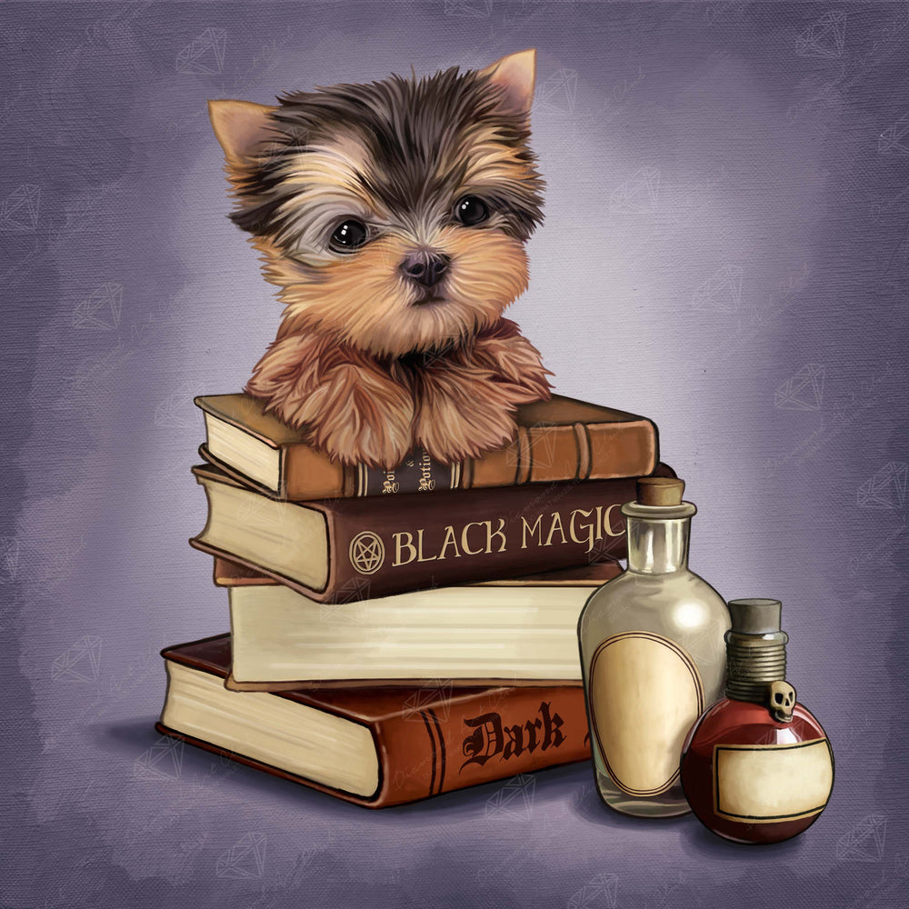 Yorkie & Magic Books S7